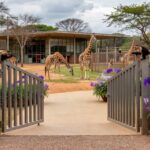 Entrada do Zoológico de Brasília com portões abertos e decorações florais para o Dia da Mulher.