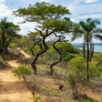 Paisagem da Serrinha do Paranoá com colinas verdes e Lago Paranoá, representando anúncio de parque ambiental.
