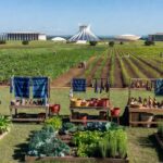 Foto: Daniela Viegas