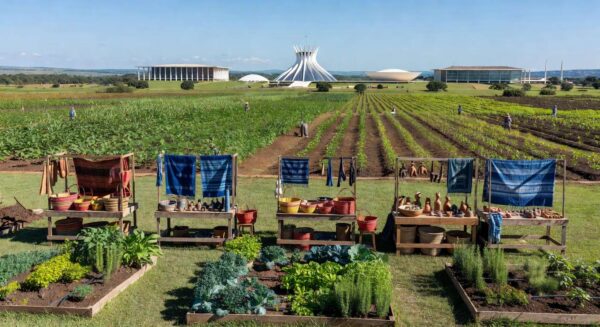 Foto: Daniela Viegas