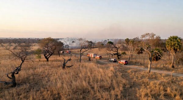 Operação Verde Vivo no Cerrado do DF para combate a incêndios