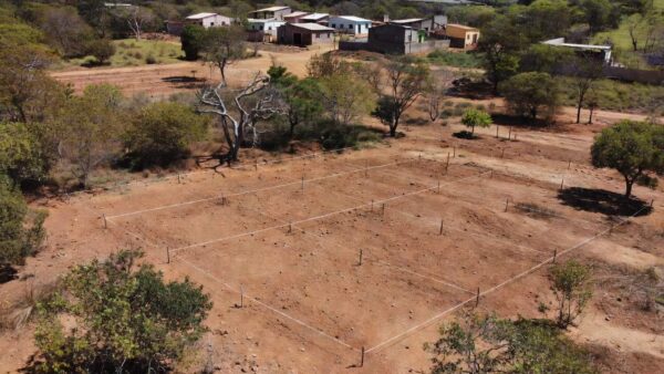 Lotes demarcados para moradias de pessoas com deficiência em Ceilândia