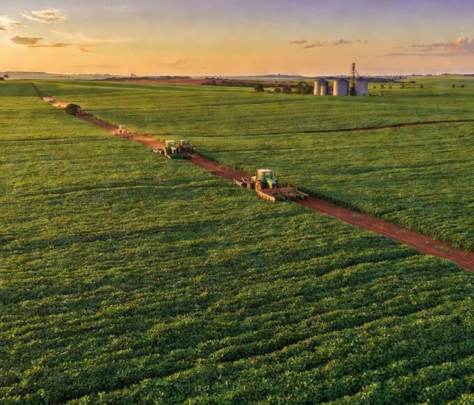 Lavouras rurais secas no Brasil durante crise financeira de produtores