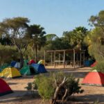 Colônia de férias em área verde no DF para programa do TJDFT