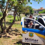 Viatura da PMDF resgatando sagui ferido em Brasília