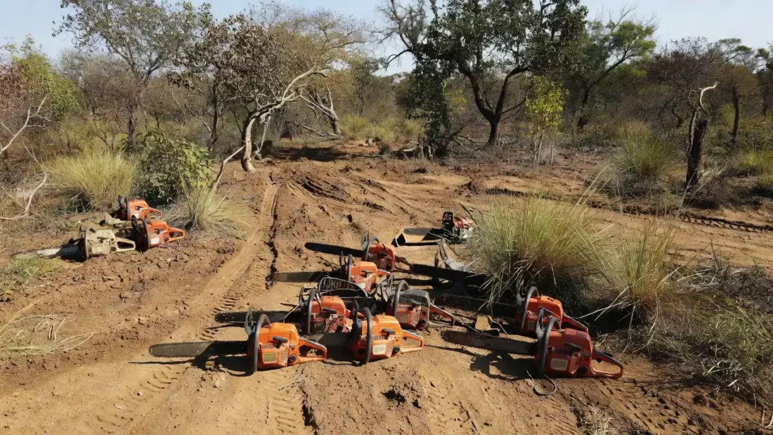 Área de cerrado desmatada em Arniqueiras com motosserras apreendidas pela PMDF