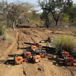 Área de cerrado desmatada em Arniqueiras com motosserras apreendidas pela PMDF