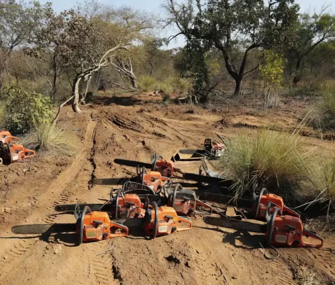 Área de cerrado desmatada em Arniqueiras com motosserras apreendidas pela PMDF