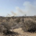 Paisagem do Cerrado no DF com áreas queimadas por incêndios durante seca prolongada