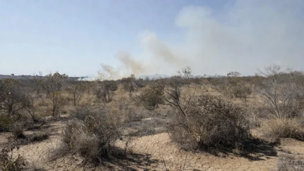 Paisagem do Cerrado no DF com áreas queimadas por incêndios durante seca prolongada