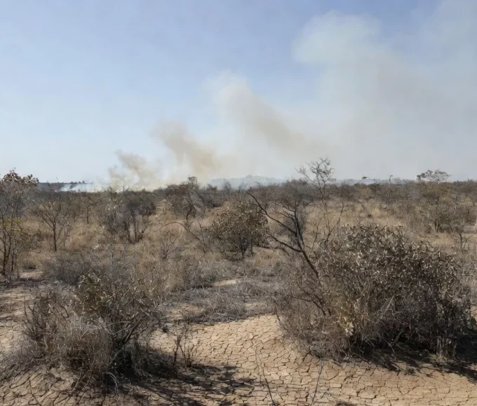 Paisagem do Cerrado no DF com áreas queimadas por incêndios durante seca prolongada